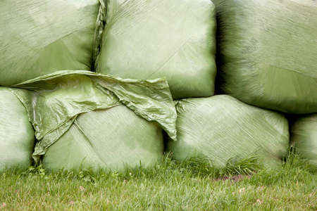 stack of grass wrapped in plasticの写真素材