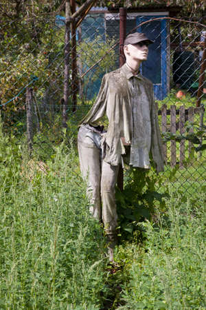 scarecrow fashion-doll in sunny summer gardenの写真素材