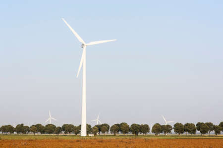 wind turbines and tree lined road in the dutch province of Flevolandの写真素材