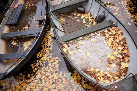 boats in Amsterdam canal full of fallen autumn leafsの写真素材