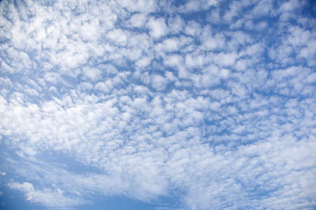 regular pattern of fluffy clouds in blue skyの写真素材