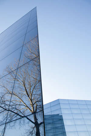 part of facades of geometrically shaped modern glass building with reflections of blue sky and treeの写真素材