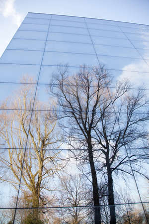 glass facade of modern office building and reflection of trees and blue skyの写真素材
