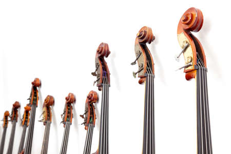 row of double basses details leaning against a wallの写真素材