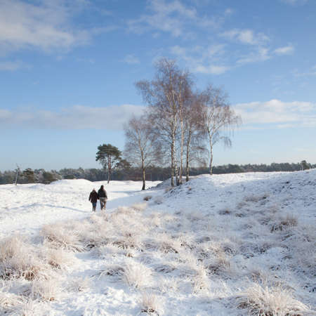 couple walks in dutch nature near Zeist in winterの写真素材