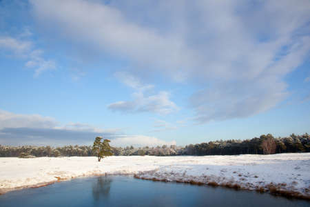 landscape of nature  in the netherlands with snow and frozen pond near zeistの写真素材