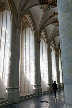 man in interior of breda cathedral in the netherlandsのeditorial素材