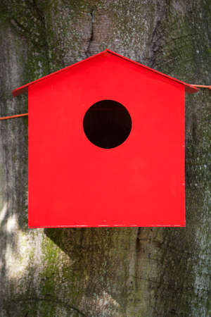 red birdhouse tied to beech tree with orange ropeの写真素材