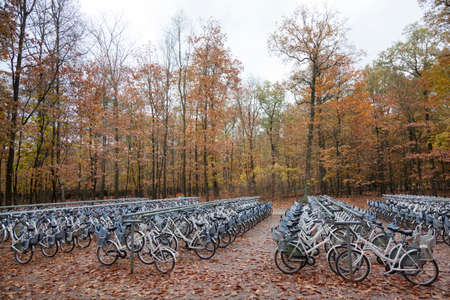 free white bicycles near entrance to national park Hoge Veluwe in Schaarsbergen near Arnhemの写真素材