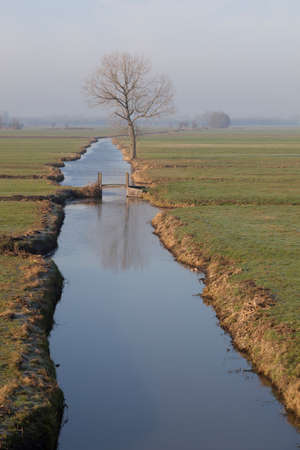 tree and bridge in meadow landscape in the netherlands near Meerkerk in South Hollandの写真素材