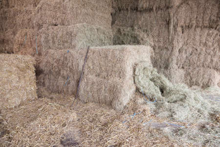 hay stack and hay form with some straw on the side on organic farm in the netherlands