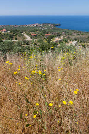 view over agios nicolaos with blue sea and sky in Mani on peloponnese on sunny day in spring with flowers in the foregroundの写真素材