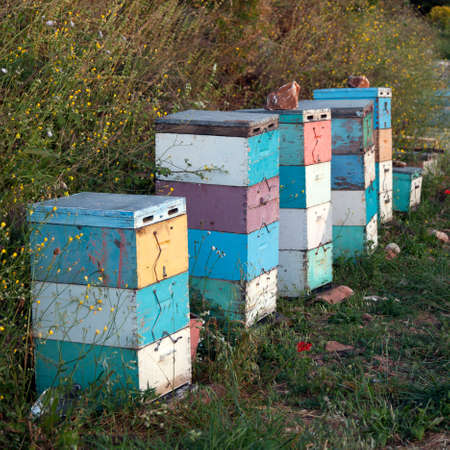 beehives in several colors at sundown on coast of peloponnese near the sea in greece