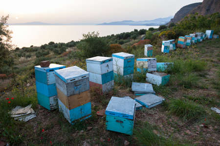 beehives in several colors at sundown on coast of peloponnese near the sea in greece