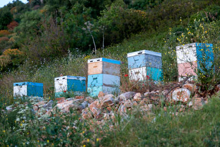 beehives in several colors at sundown on coast of peloponnese near the sea in greeceの写真素材