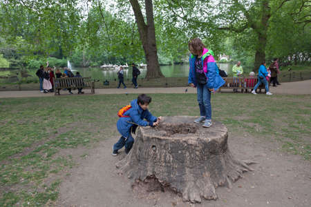 London, United Kingdom, 6 may 2017: children play on tree stump in st james's park in london in springのeditorial素材