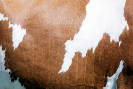 cowhide with abstract red and white pattern on side of cowの写真素材