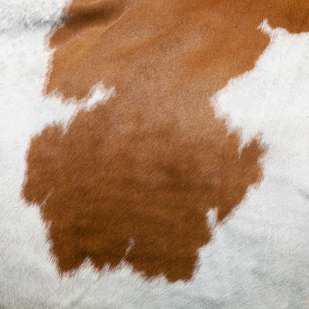 cowhide with abstract red and white pattern on side of cowの写真素材