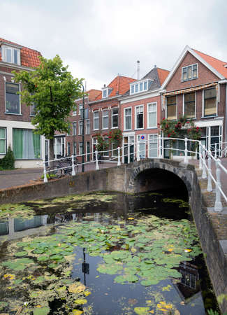 delft, netherlands, 30 june 2017: bridge and houses along canal full of water lilies in dutch town of delftのeditorial素材