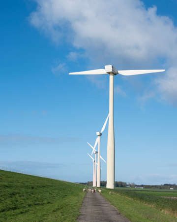 wind turbines and blue sky in dutch province of flevolandの写真素材