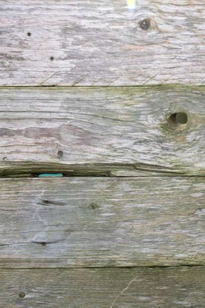 Background of weathered old gray wooden planksの写真素材
