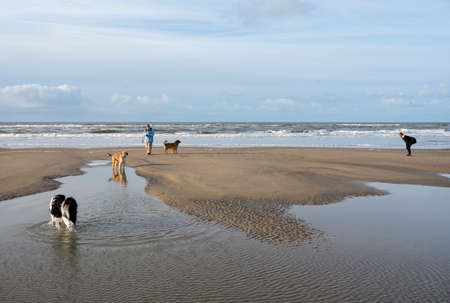 camperduin, Netherlands, 17 december 2017: people and dogs on north sea beach in the netherlandsのeditorial素材