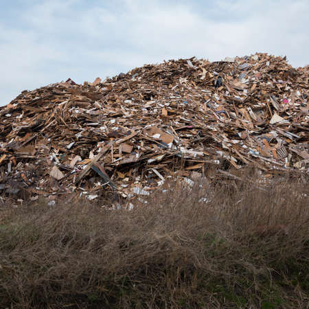 waste dump of wood in the netherlands at almere in province of flevolandの写真素材