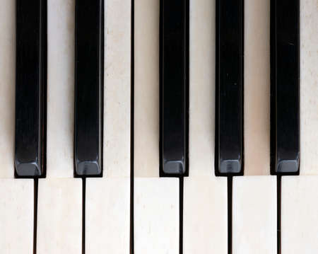 closeup of black and white keys on old ivory keyboard of antique bechstein grand pianoの写真素材