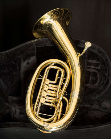 baritone brass instrument with valves in dark caseの写真素材