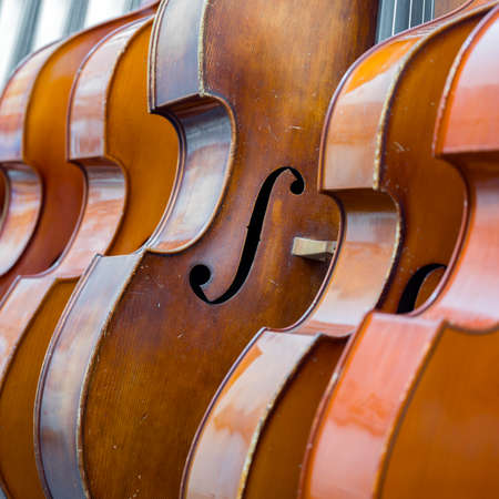 closeup of row of double basses resting against a wall close togetherの写真素材