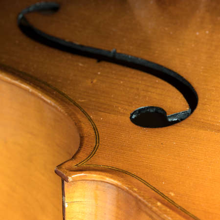 closeup of part string instrument cello with f holes