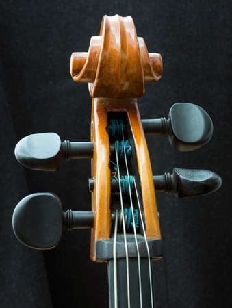 closeup of vintage string instrument cello with snares and scrollの写真素材