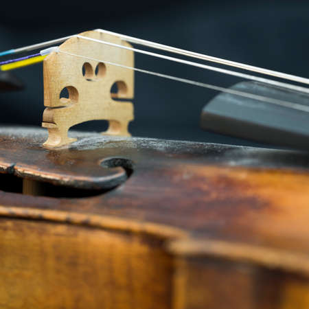 part of violin with f hole and snares against gray backgroundの写真素材