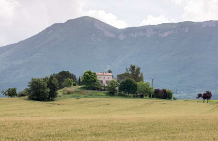 cornfield and typical provence house in summer with mountains in the background between Digne and Brianconの写真素材