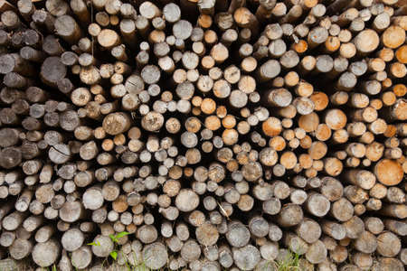 closeup of round wood logs in pile for use in stove or fireの写真素材