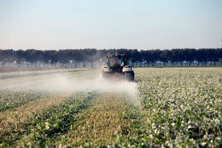tractor and harvesting machine in field during harvest in dutch province of flevoland in the netherlandsの写真素材