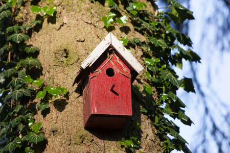 red wooden bird house against tree trunk between ivy leaves in warm evening lightの写真素材