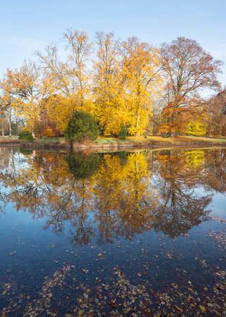 trees in autumn colors reflected in blue water of pond in the dutch province of utrecht near doorn and driebergenの写真素材