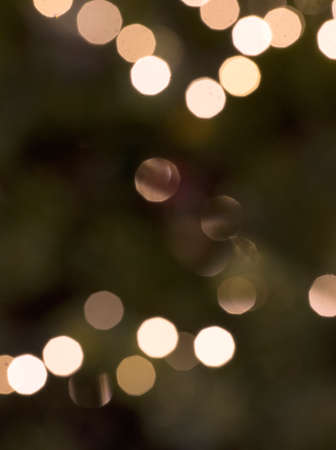 out of focus warm abstract christmas lights in fir tree