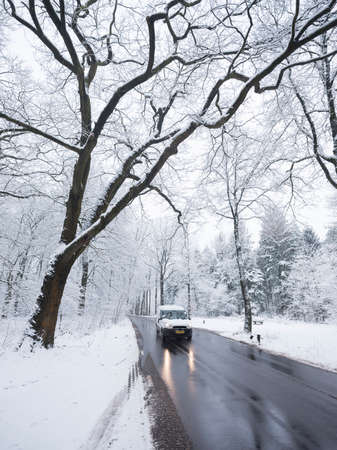 car on tarmac road and reflection in wet surface through snow forest in dutch winter near austerlitz and utrecht in hollandの写真素材