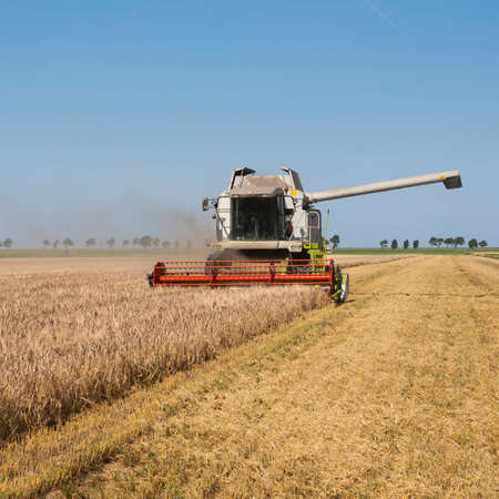 combine harvester during barley harvest in the countryside of north groningen in the netherlands under blue skyの写真素材