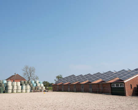farm covered in solar panels between aurich and leer in lower saxony on sunny day in summerの写真素材