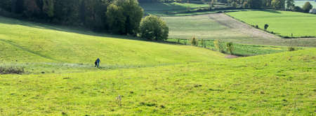 couple hikes in green grassy hills and meadows of south limburg in the netherlands on sunny autumnal dayのeditorial素材