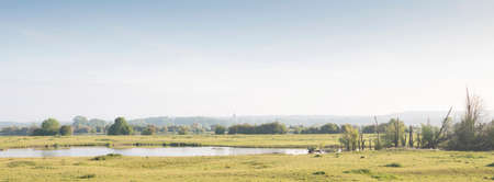 rural landscape of floodplanes near river lek in the netherlands with church tower of amerongen in the backgroundの写真素材