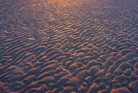 sand ripples on beach in warm light of setting sunの写真素材