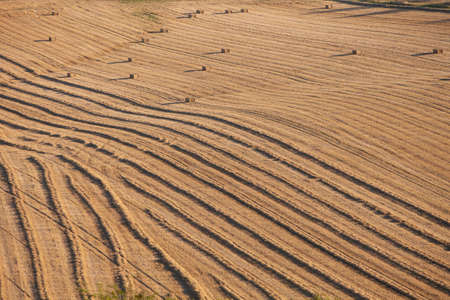 abstract pttern of corn field with straw bales with long shadows of setting sunの写真素材