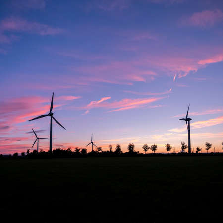 wind turbines and trees form silhouettes against colorful sunsetの写真素材