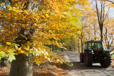 tractor on dutch road near utrecht under colorfull leaves of trees in the fallのeditorial素材