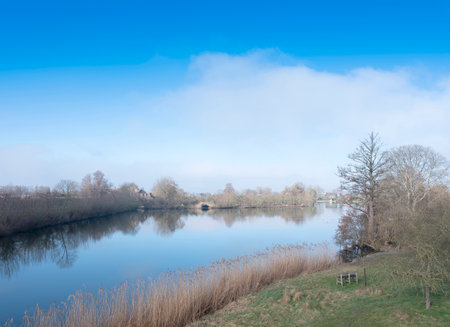 late winter landscape with water in the center of the netherlands near Leerdam under blue skyの写真素材