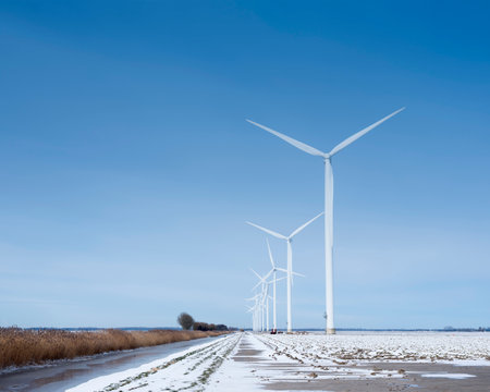 snow covered fields and wind turbines in Dutch polder of Flevoland under blue sky in winterの写真素材